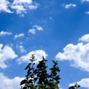 근면자동차공업사 이미지