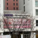 호텔 파크하비오 | [W01. 홀투어] 송파 호텔파크하비오 홀투어 후기 / 견적 공유✨ (계약x)