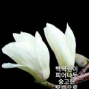 오늘은 이미지