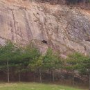 행운농장 이미지