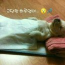 녹수슈퍼 이미지