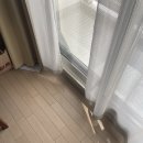 댕겨와유 | [삿포로 워홀 ~D+145] 엄마 나 안굶고 살아