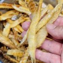 속편한황태국 이미지