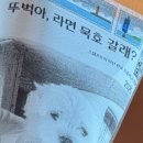 발한로(A) | 무계획 강릉, 묵호 2박 3일 후기