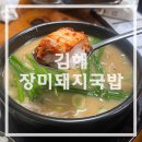 장미순대 | 김해 국밥 맛집 - 현지인도 찾는 삼방동 장미돼지국밥 순대국밥 후기