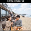 동막저수지체육공원 | [공지] 빵 마니아 강릉 빵 페스타, 50개 빵집 줄 없이 즐기고 온 현실 후기