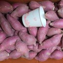 여주-0208 이미지