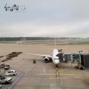 [GATE26] 26(이륙)챌린지 10기 후기-이륙이와 함께한 마쓰야마 여행기 프롤로그