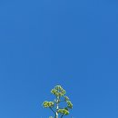 태봉산성지 이미지