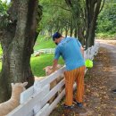 자선목장 이미지