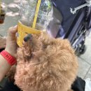 컴포즈커피 고양원당시장점 이미지