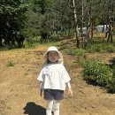 행복한1교시보습학원 | [숲체험] 세르파파 천안점 따끈따끈한 후기
