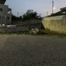 왓더버거김천점 이미지