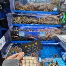 [일상] 노량진수산시장 대게 맛집 만복수산 추천 (영업시간/주차정보)
