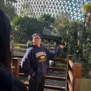 제로투원치과기공소 | 파마가 망해서 머리를 결국 자른 사람의 일기