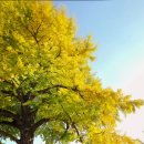 전주향교 이미지