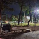 GS25 양양강현점 이미지