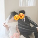 블로그 시작 51일 만에 네이버 애드포스트 승인받기