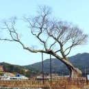 남해-278 이미지