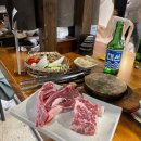 안녕하개 | 부산 애견카페 * 사상 안녕하개 방문후기