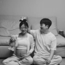 다두하우스 이미지