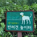 강아지 대공원 | 서울 무료 강아지 운동장 어린이대공원 반려견 놀이터 이용후기