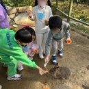 금빛 유치원 이미지