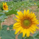 기아차수리점 이미지