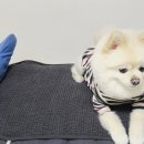 따숩개하우스 이미지