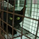 금강동물병원 이미지