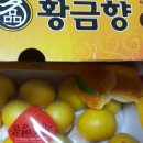 윤이 농장 이미지