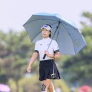 포토그린 이미지