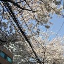 카페온밤