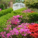 메이의산책 이미지