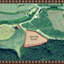 소로리 농장 이미지