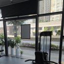 더 디짐 이미지