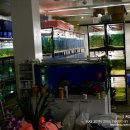 코리아농장 이미지