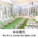 몽드 | 서울 스몰 웨딩홀 슈슈몽드 투어 후기 2027년 예식 정보