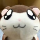 네일아또 | 나이 반납할게요 환불해주세요 깔끔하게 사용했어요 기스없구요