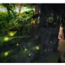 무주 오페라 키즈 풀빌라 펜션 이미지