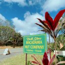 쇼어컴퍼니 이미지