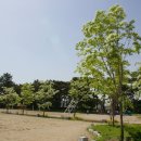 청하중학교 이미지