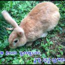 부천테크노파크 2단지 201동 이미지