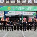 제주 귤빛 헤드라인제주