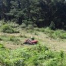 신일상사 이미지