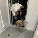 디저트 베이킹 이미지