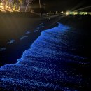 빛나는 파도의 춤 빛 이미지