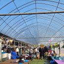 팜팜비 | 서울에서 시흥 팜팜랜드 소문듣고 다녀왔어요!