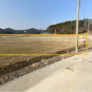 옥성그린공인중개사사무소 이미지