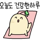 맥주양소주군 이미지